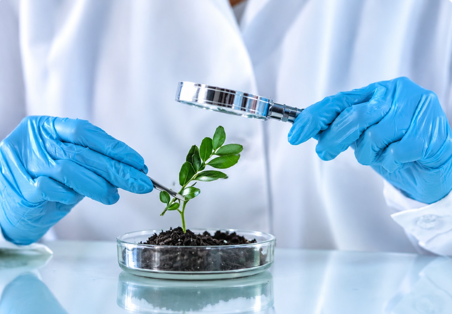 Scientist studying a plant in a laboratory